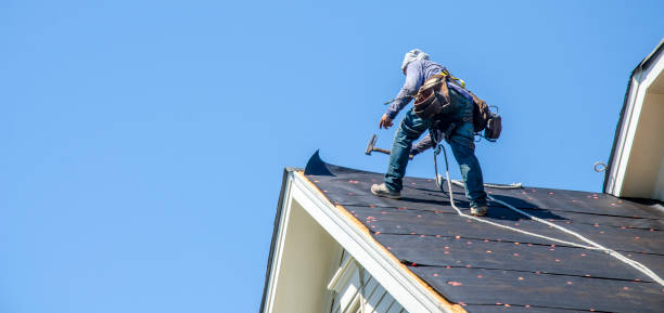 Roof Gutter Cleaning in Spruce Pine, NC